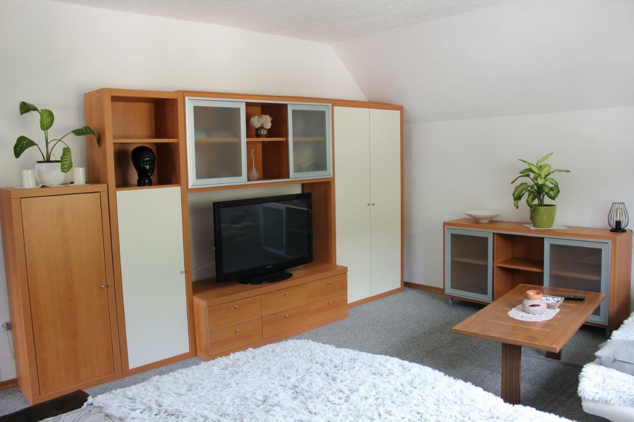 R&G Apartment Zirovnica Exterior photo