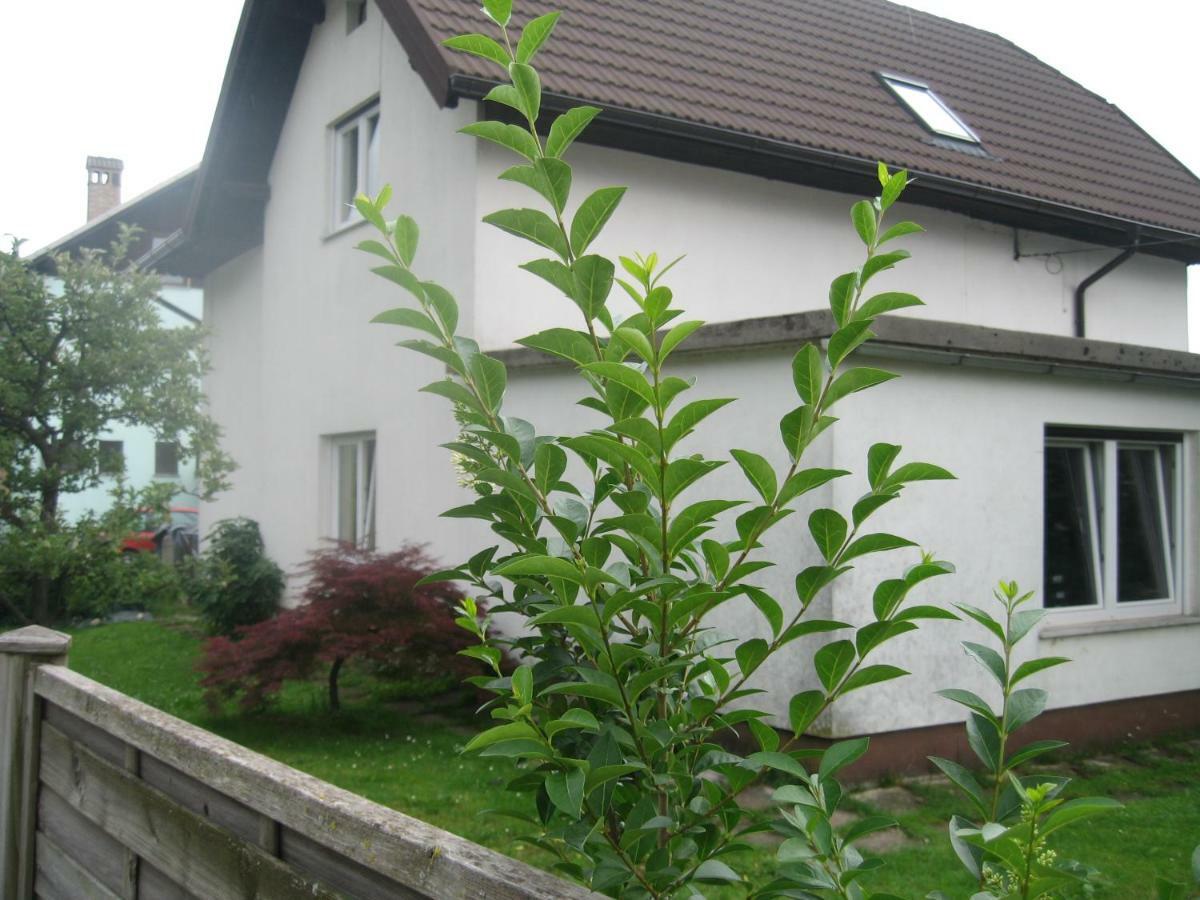 R&G Apartment Zirovnica Exterior photo